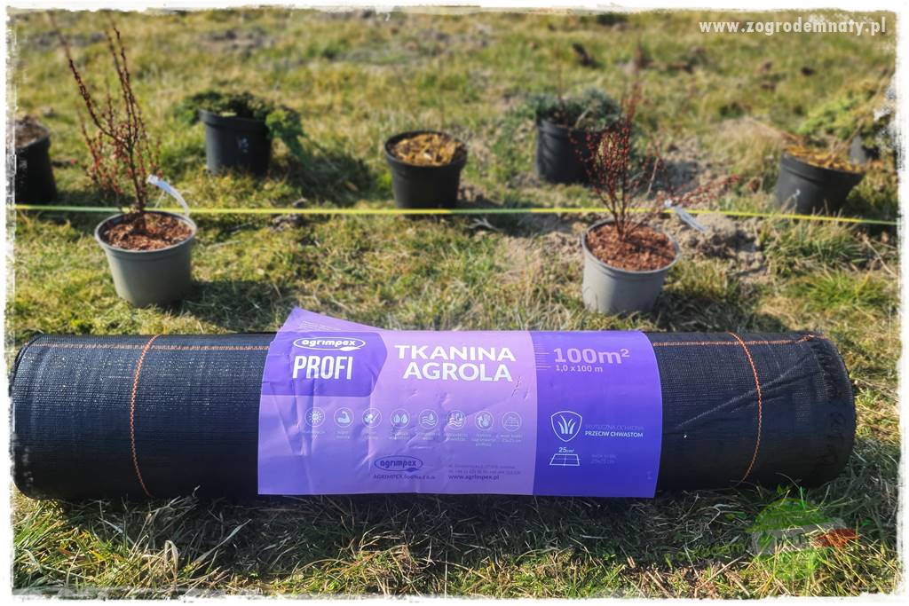 Agrotkanina w ogrodzie 45