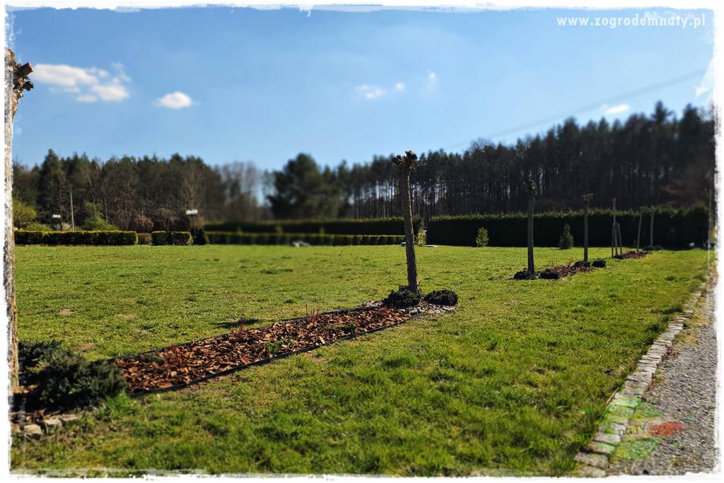 Agrotkanina w ogrodzie 46