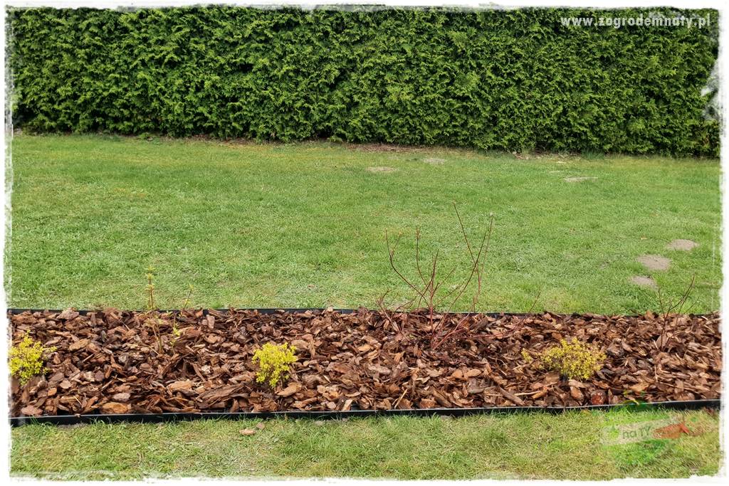 Agrotkanina w ogrodzie 47