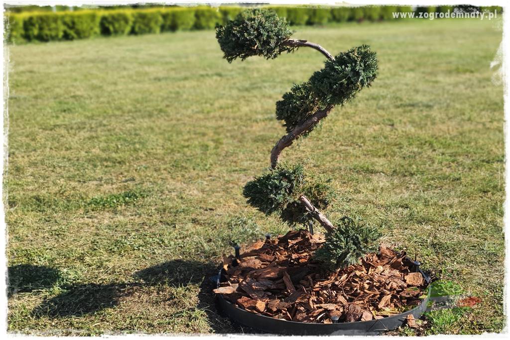 Agrotkanina w ogrodzie 50 Agrotkanina w ogrodzie 50