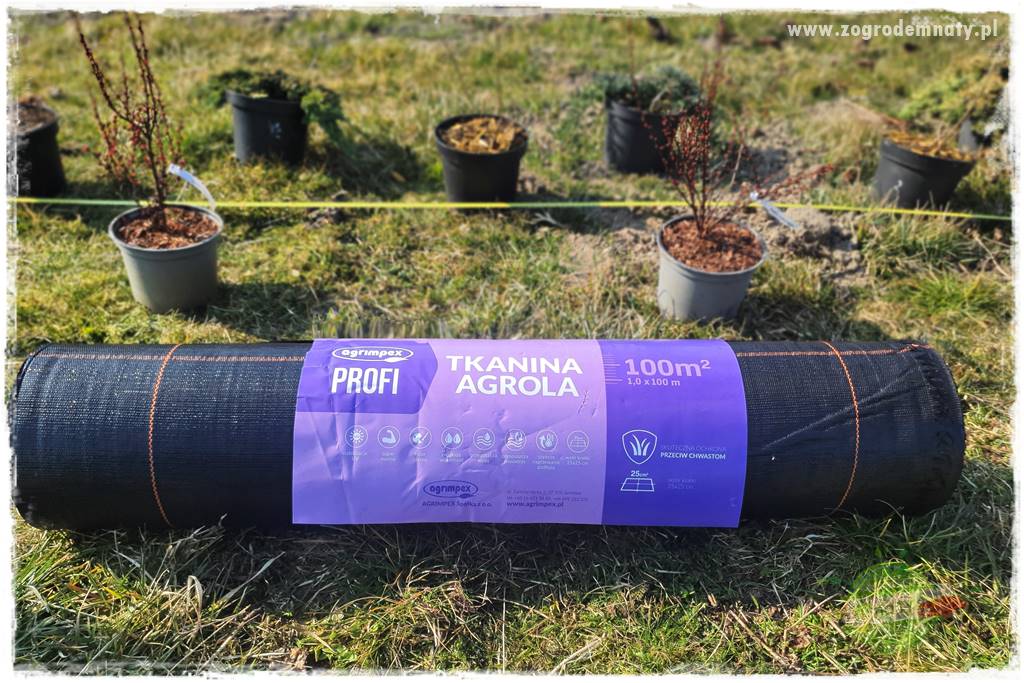 Agrotkanina w ogrodzie 7 Agrotkanina w ogrodzie 7