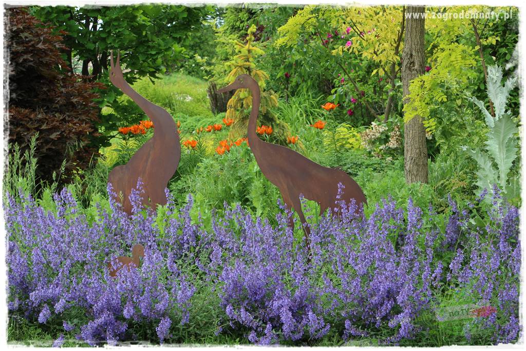 Byliny długo kwitnące 10