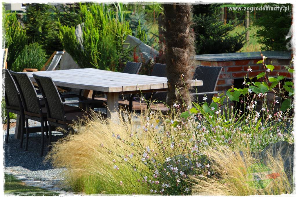 Byliny długo kwitnące 13