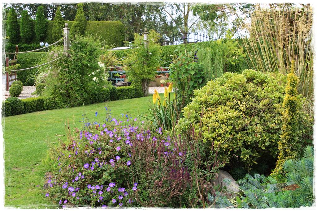 Byliny długo kwitnące 25