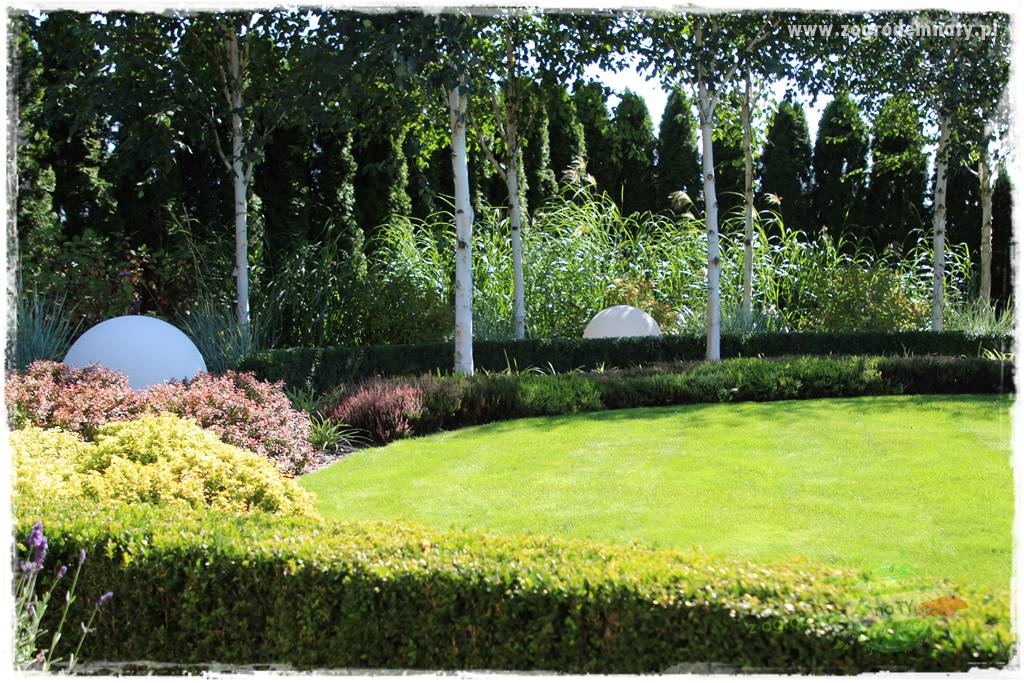 Co posadzić przed tujami 10