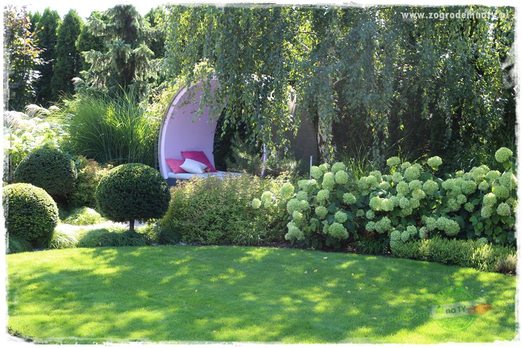 Co posadzić przed tujami 12