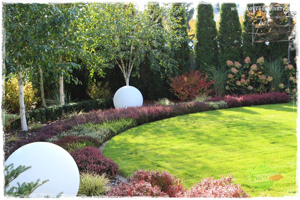 Co posadzić przed tujami 13