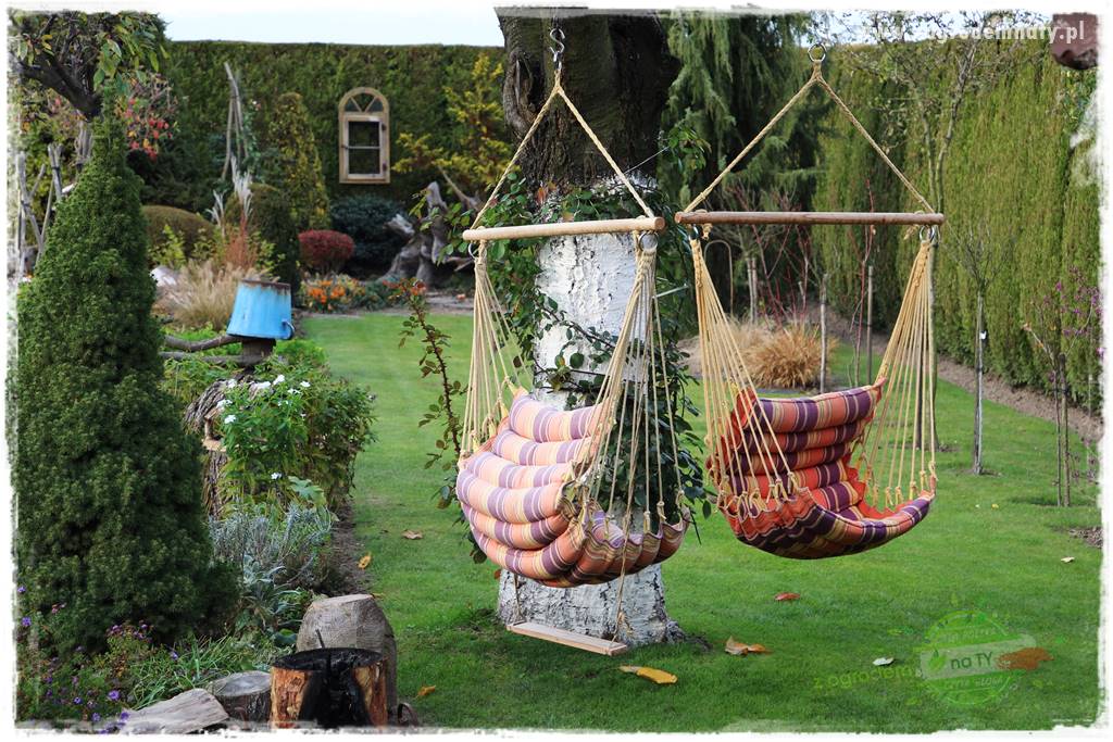 Co posadzić przed tujami 18