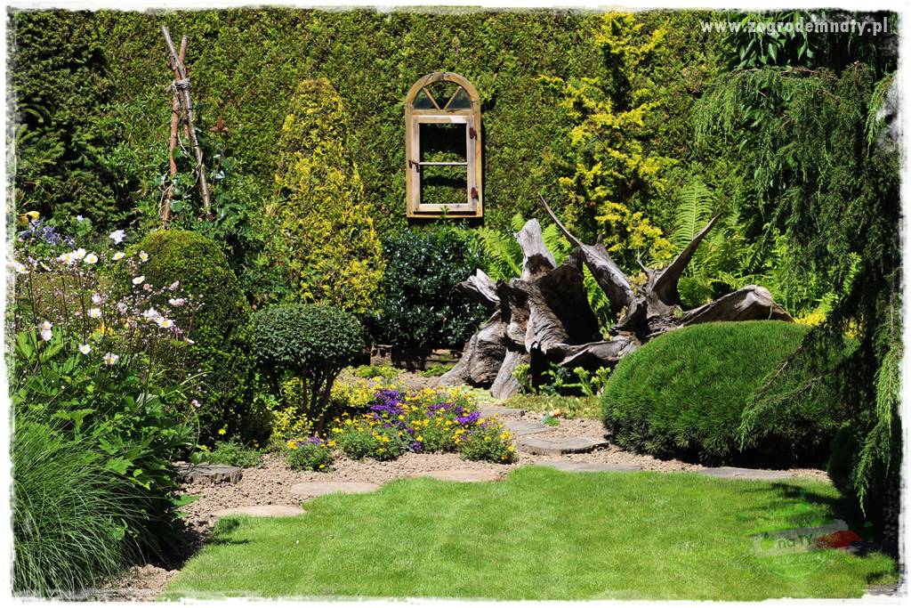 Co posadzić przed tujami 19