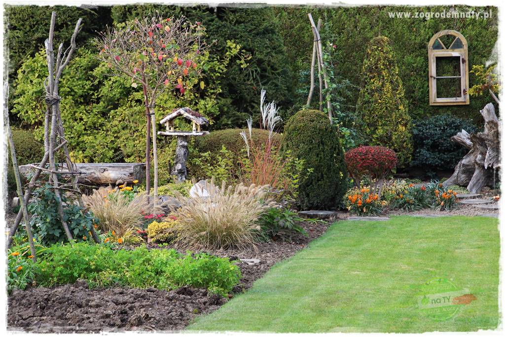 Co posadzić przed tujami 20