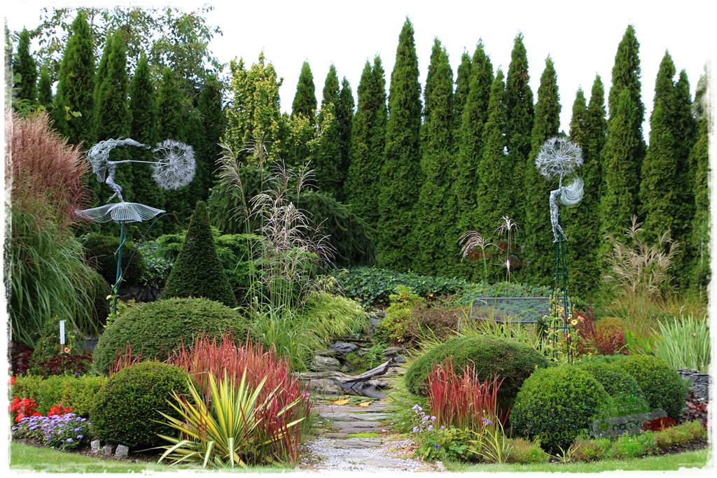 Co posadzić przed tujami 29