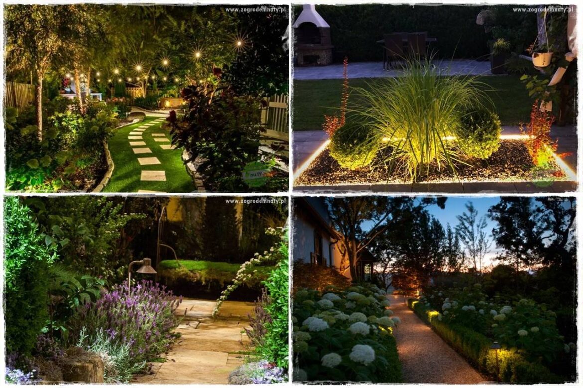 Jak podświetlić rabatę 0