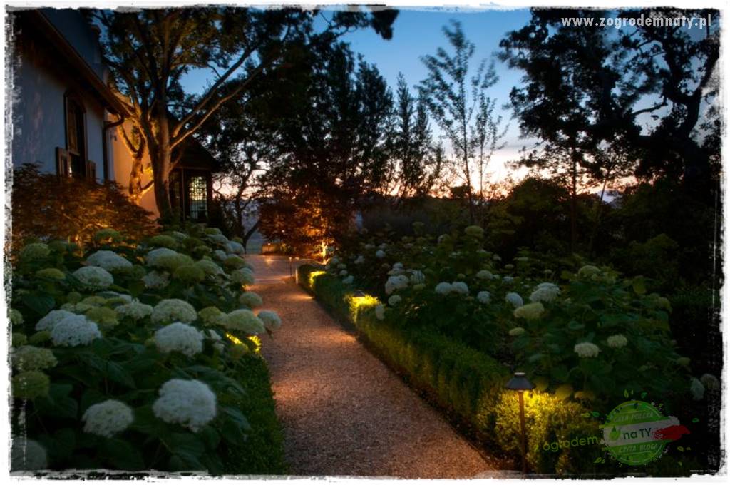 Jak podświetlić rabatę 1