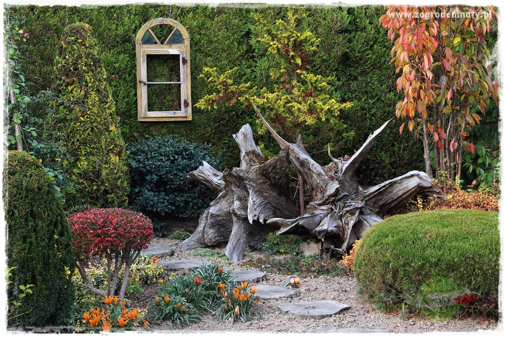 Jak podświetlić rabatę 10