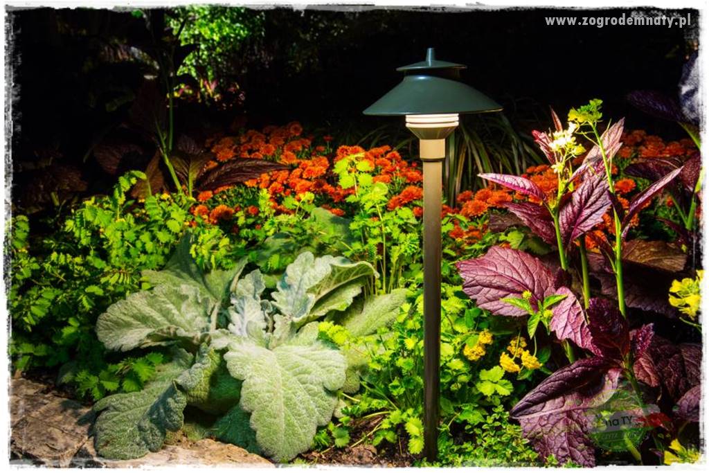 Jak podświetlić rabatę 11