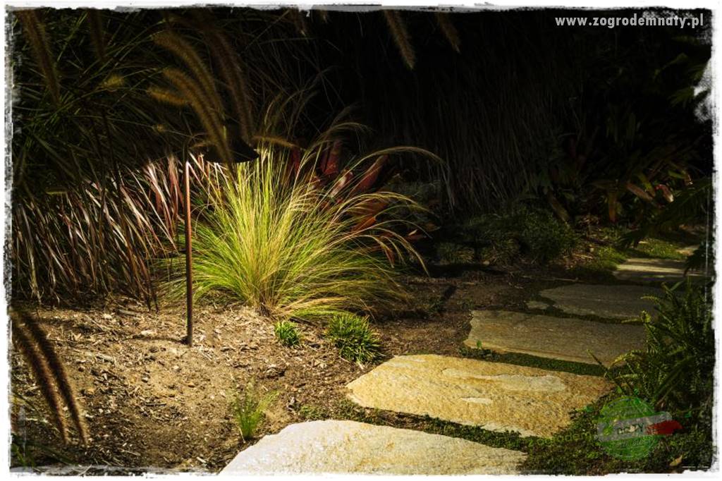 Jak podświetlić rabatę 12