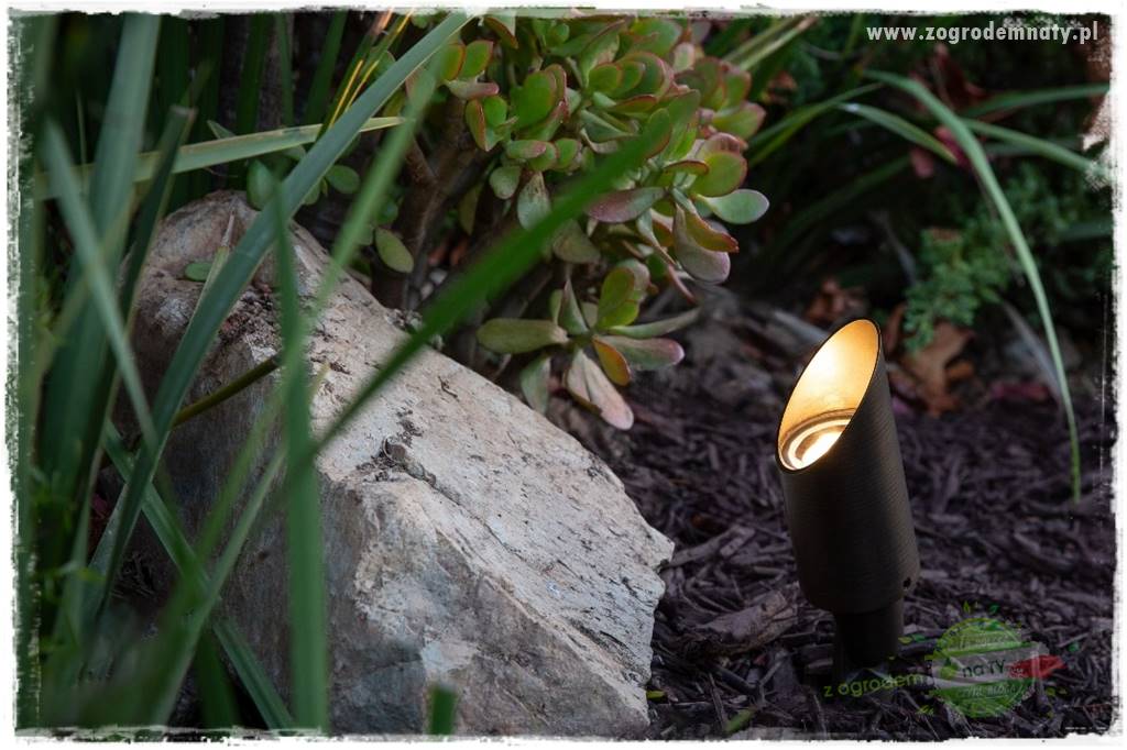 Jak podświetlić rabatę 13