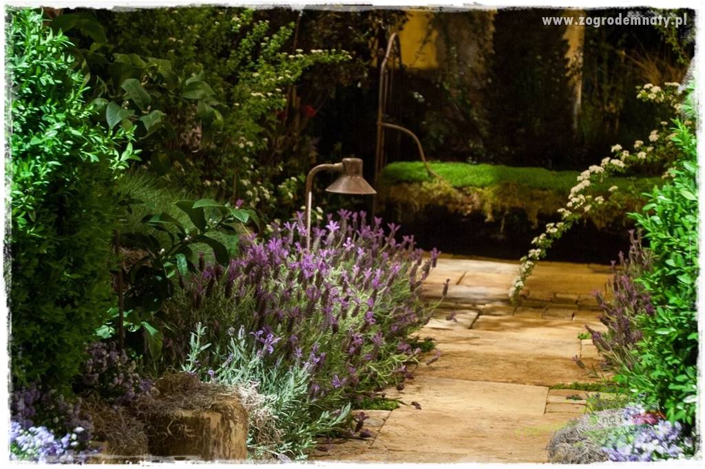 Jak podświetlić rabatę 14