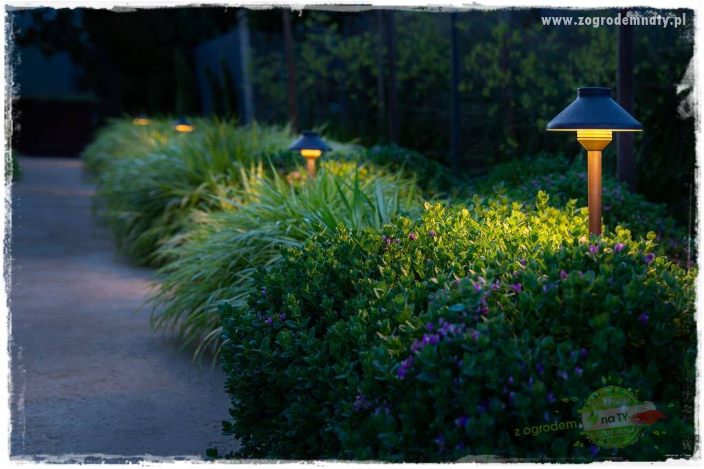 Jak podświetlić rabatę 15