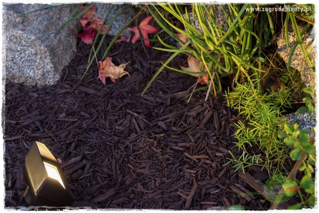 Jak podświetlić rabatę 16