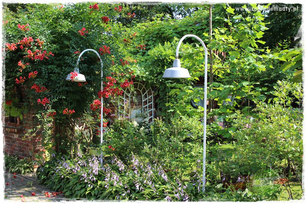 Jak podświetlić rabatę 17