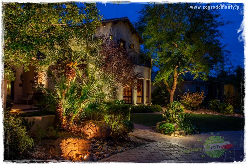 Jak podświetlić rabatę 19