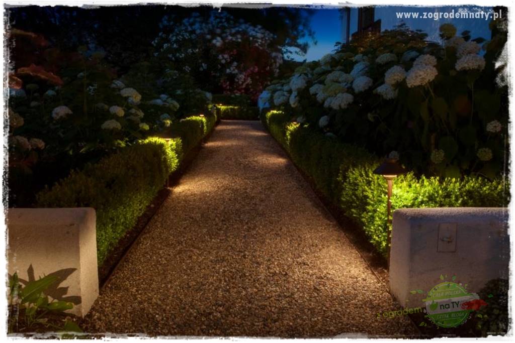 Jak podświetlić rabatę 2