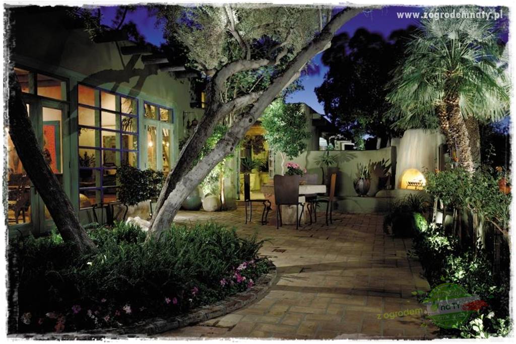 Jak podświetlić rabatę 20