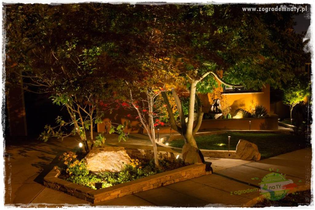 Jak podświetlić rabatę 21