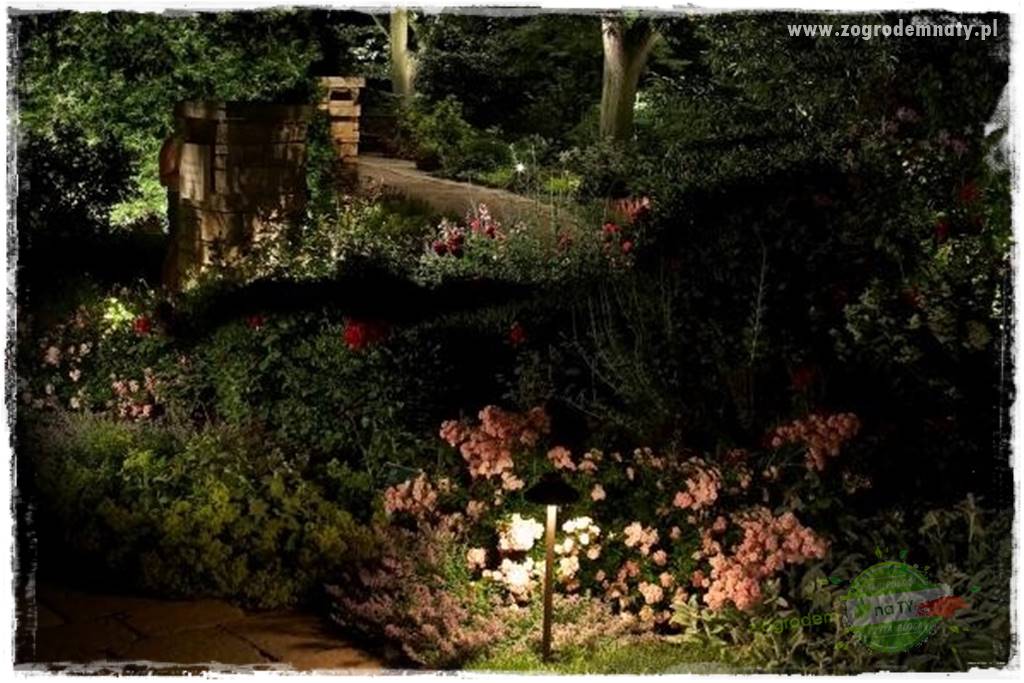 Jak podświetlić rabatę 22