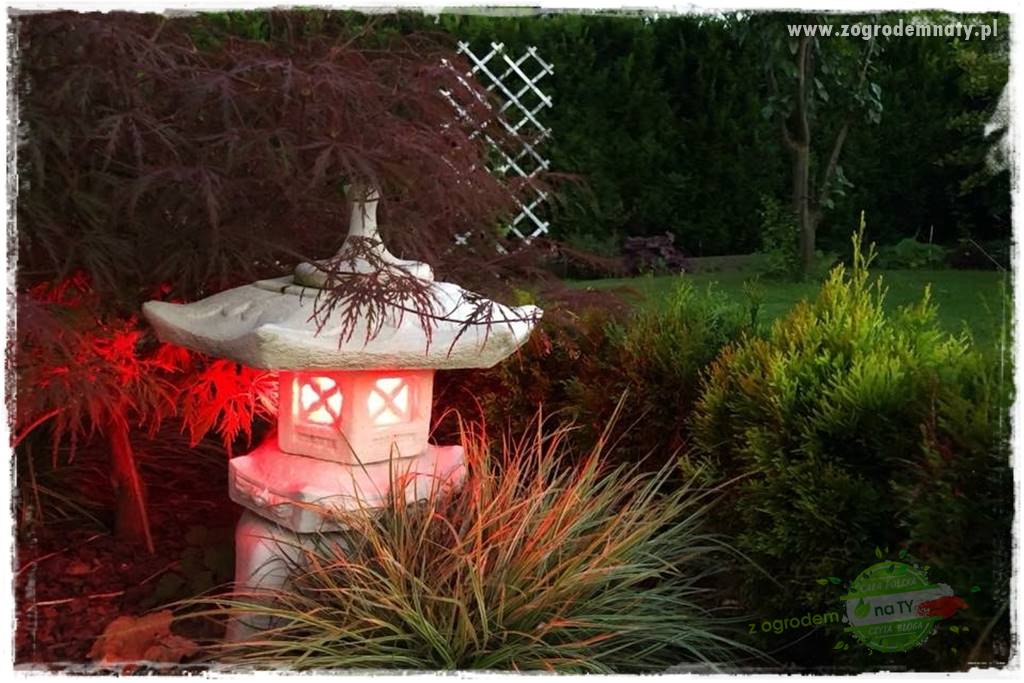 Jak podświetlić rabatę 23