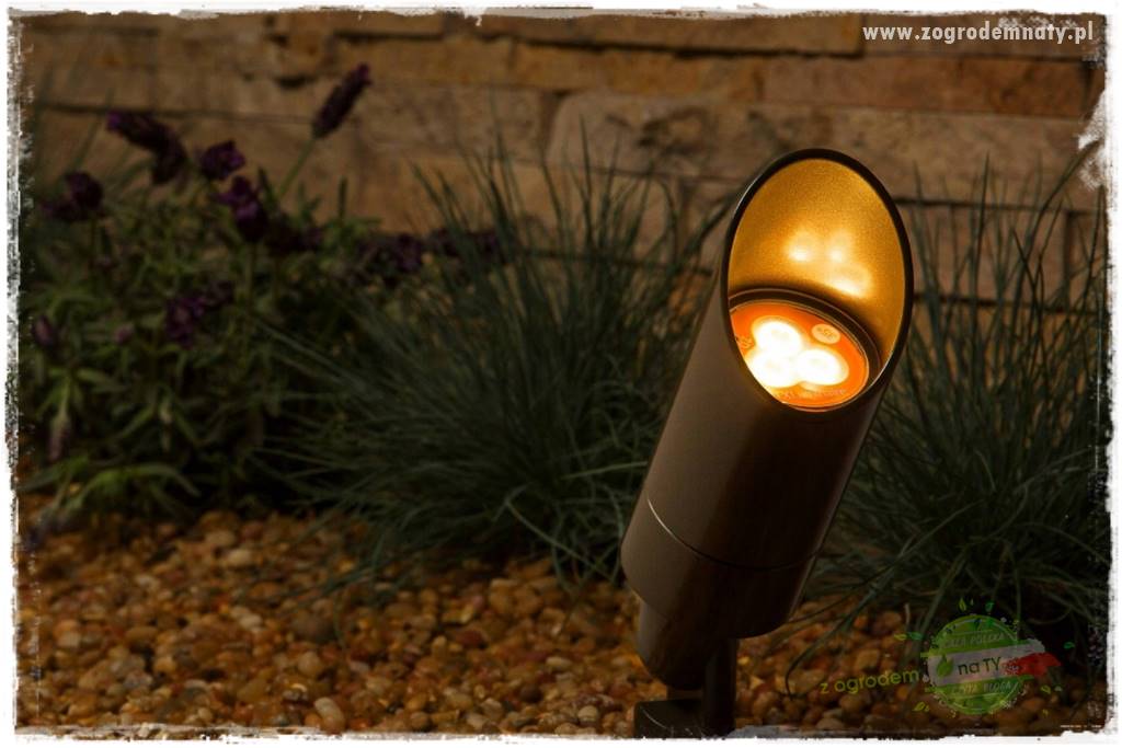 Jak podświetlić rabatę 24