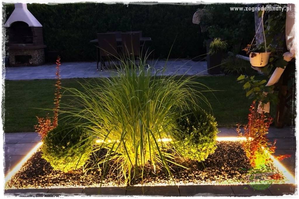 Jak podświetlić rabatę 25