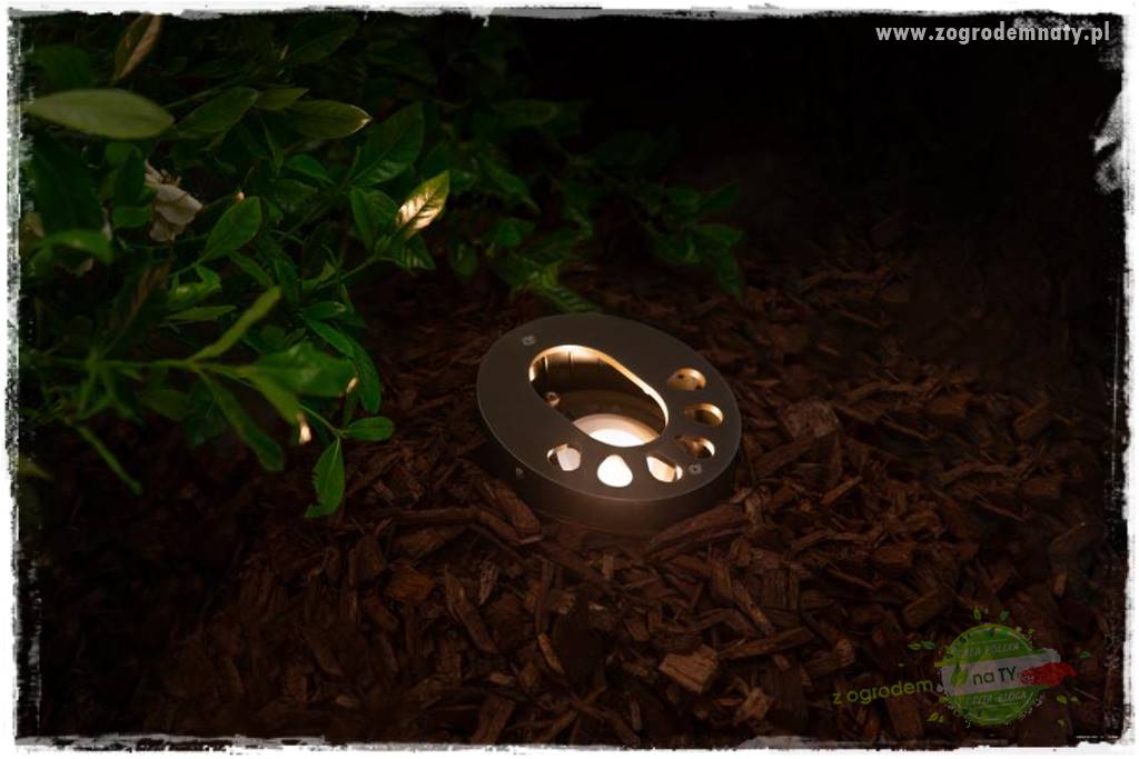 Jak podświetlić rabatę 27