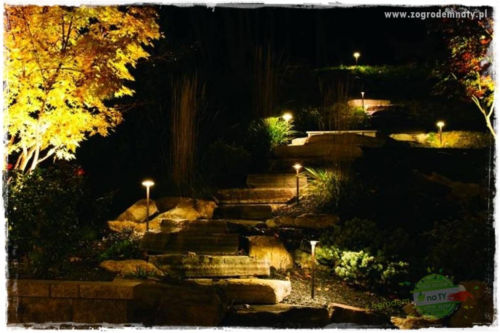 Jak podświetlić rabatę 28