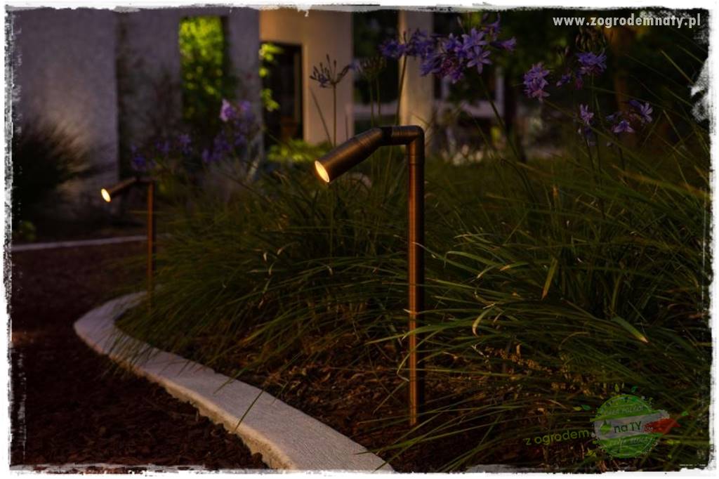 Jak podświetlić rabatę 29