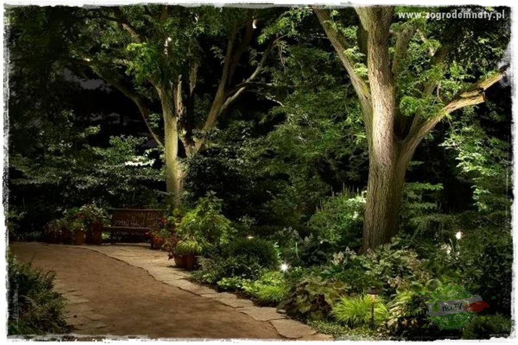 Jak podświetlić rabatę 3