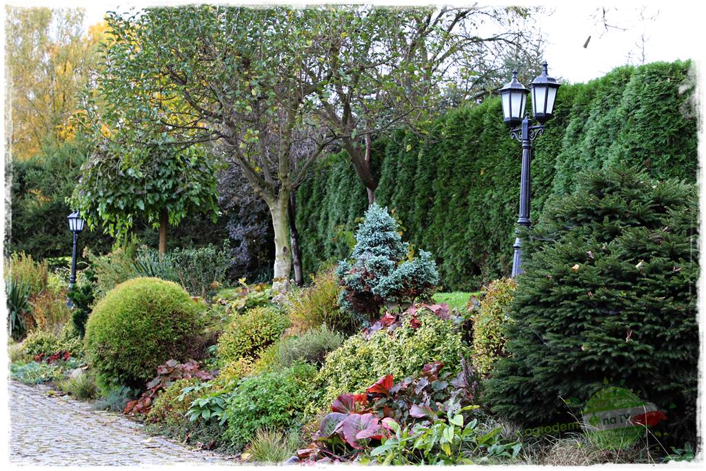 Jak podświetlić rabatę 30