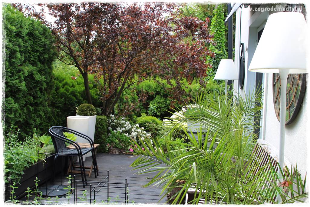 Jak podświetlić rabatę 31