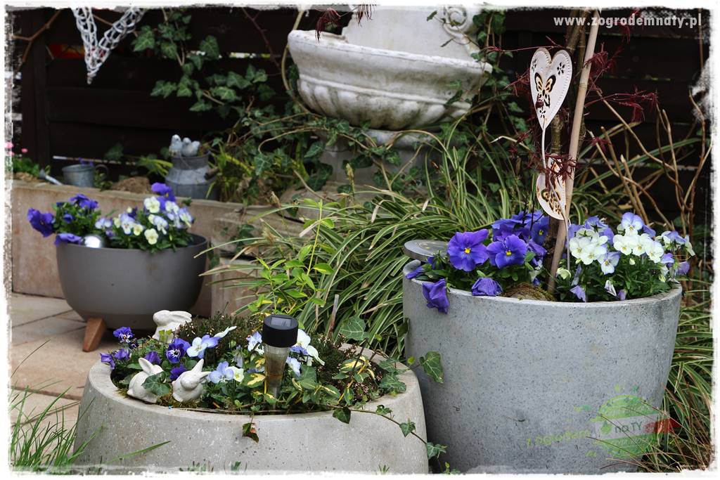 Jak podświetlić rabatę 35