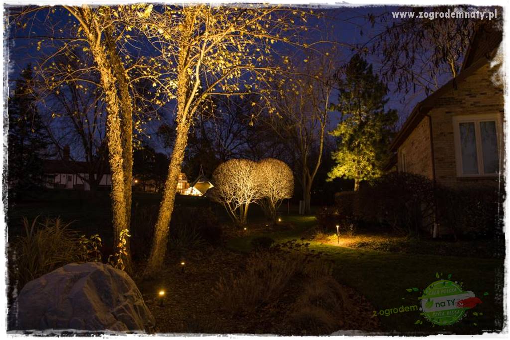 Jak podświetlić rabatę 36