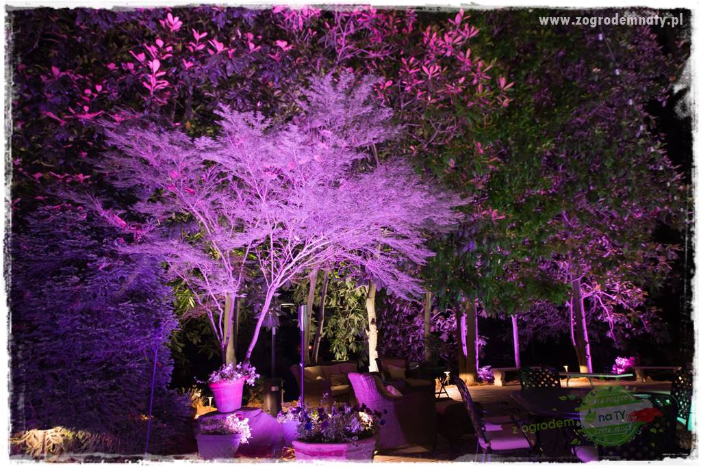 Jak podświetlić rabatę 37