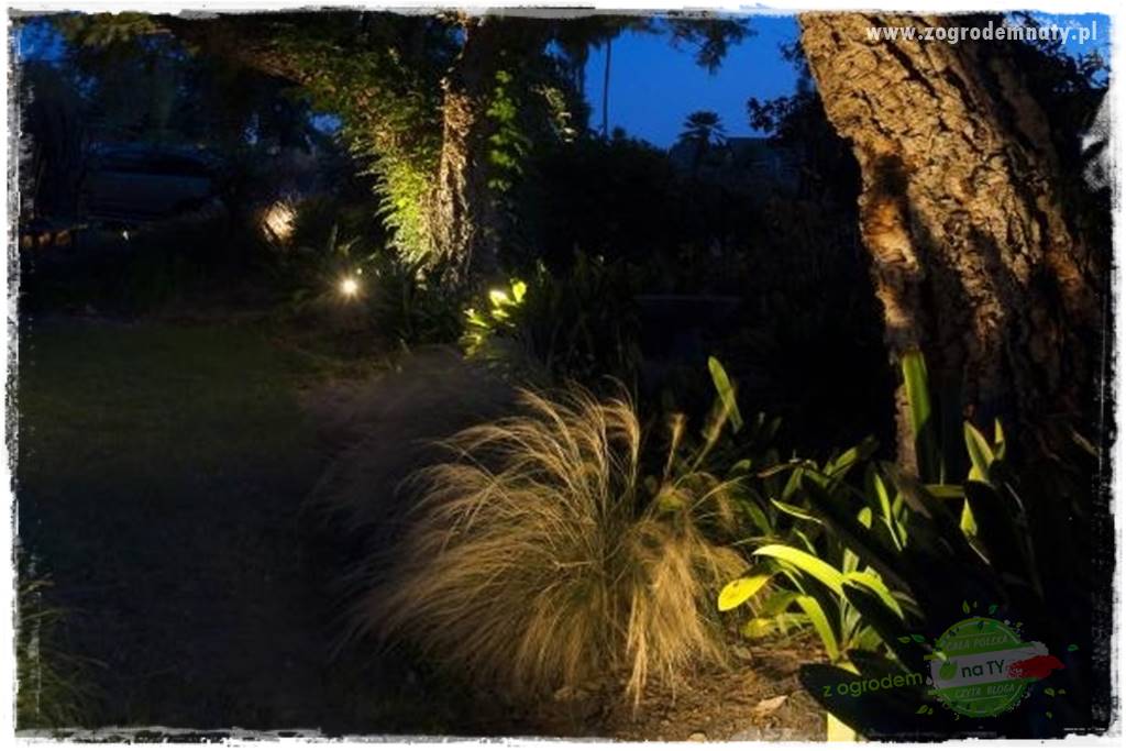 Jak podświetlić rabatę 5