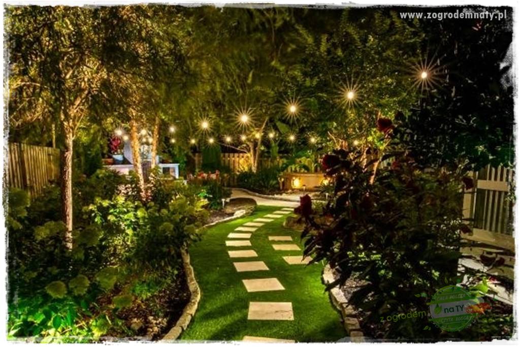 Jak podświetlić rabatę 6