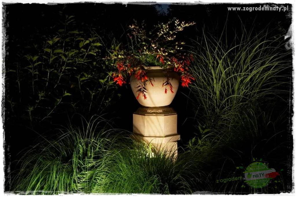 Jak podświetlić rabatę 7