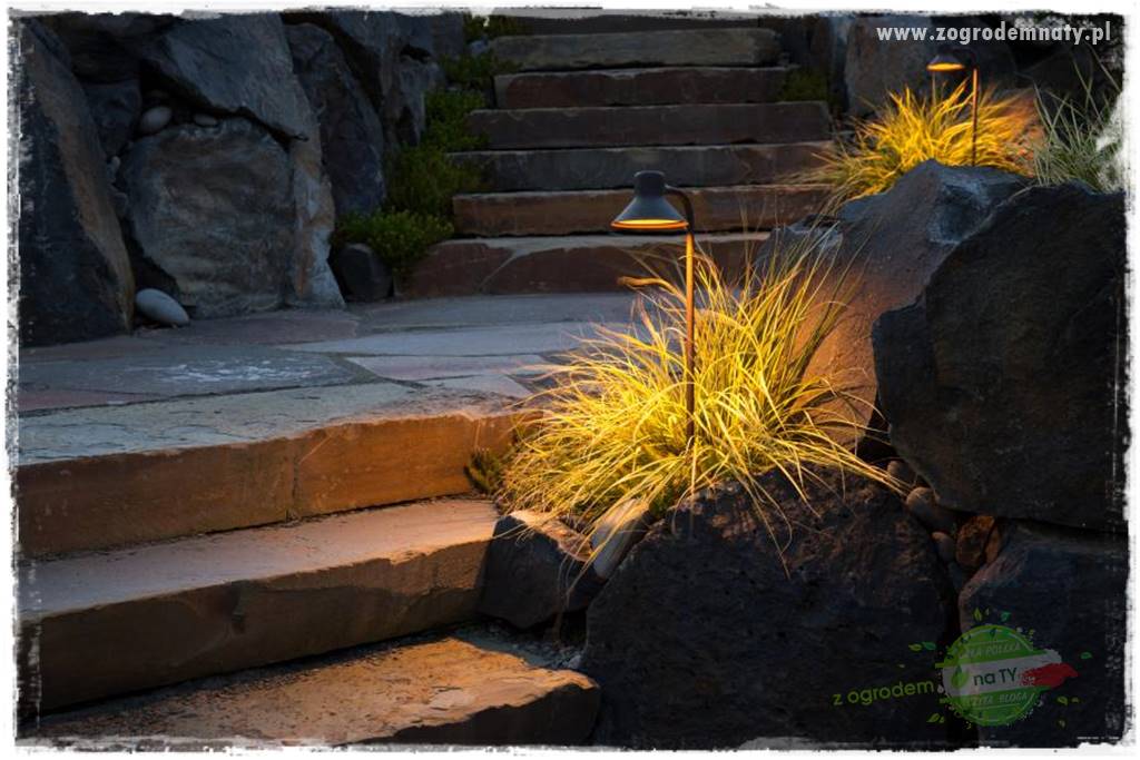 Jak podświetlić rabatę 8