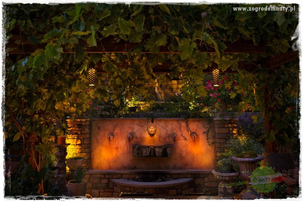 Jak podświetlić rabatę 9