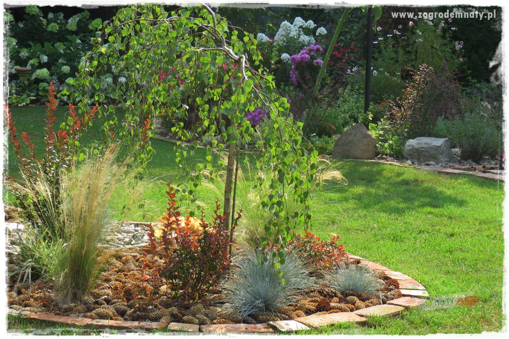 Jak przygotować ogród na zmiany klimatu 10 Jak przygotować ogród na zmiany klimatu 10
