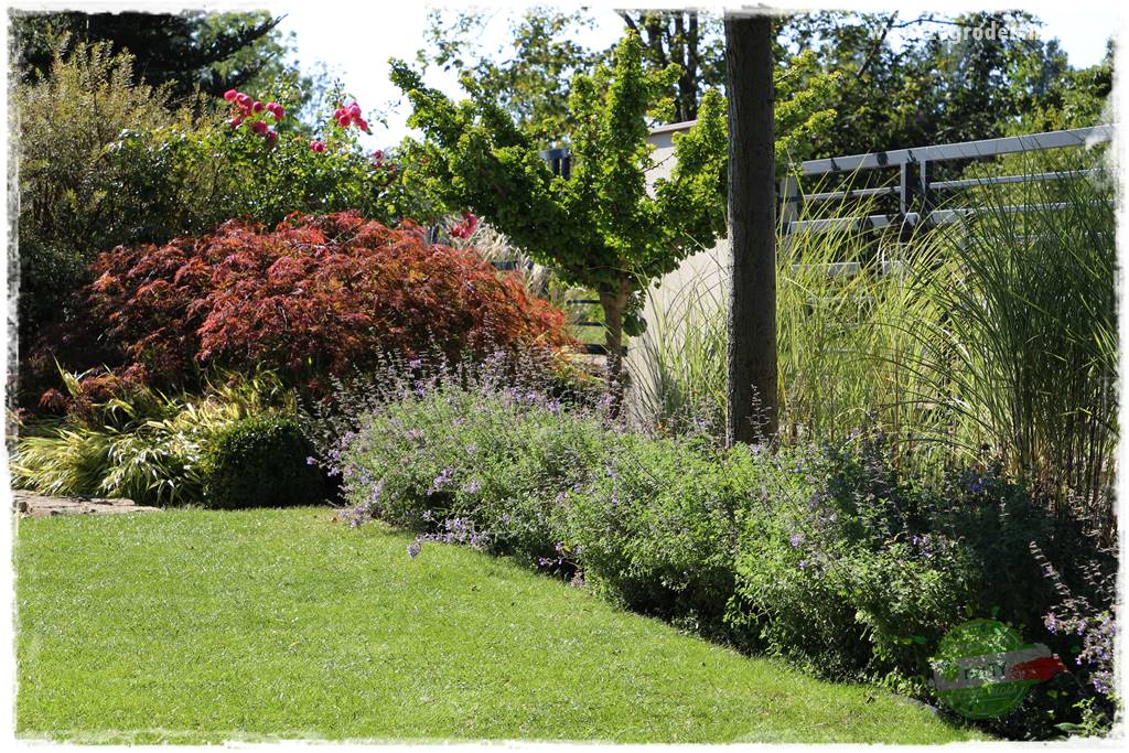 Jak przygotować ogród na zmiany klimatu 11 Jak przygotować ogród na zmiany klimatu 11