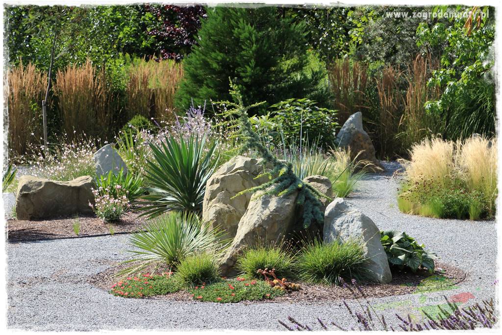 Jak przygotować ogród na zmiany klimatu 12 Jak przygotować ogród na zmiany klimatu 12